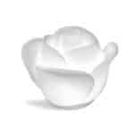 Tea Lamp
