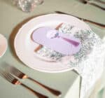 Vienna flat plate - Image 4