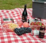 Set of 2 white/red check picnic blankets - Image 3